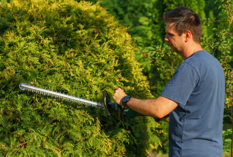Tree Trimming in Hanford